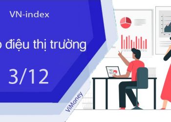 ViMoney-nhip-dieu-thi-truong-chung-khoan-3-12