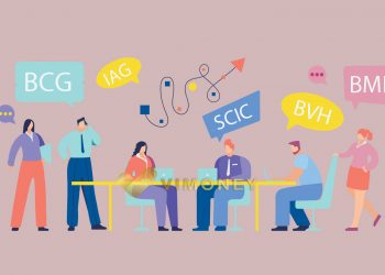 Thoái vốn nhà nước lo vỡ kế hoạch 2021, SCIC ngồi trên đống lửa - Bộ Tài Chính duyệt nhượng cổ phần AAA giữa BCG và IAG