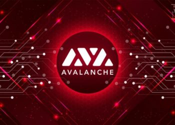 ViMoney: Các Layer Lớp 2 nổi bật của Hệ sinh thái Avalanche