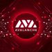 ViMoney: Các Layer Lớp 2 nổi bật của Hệ sinh thái Avalanche