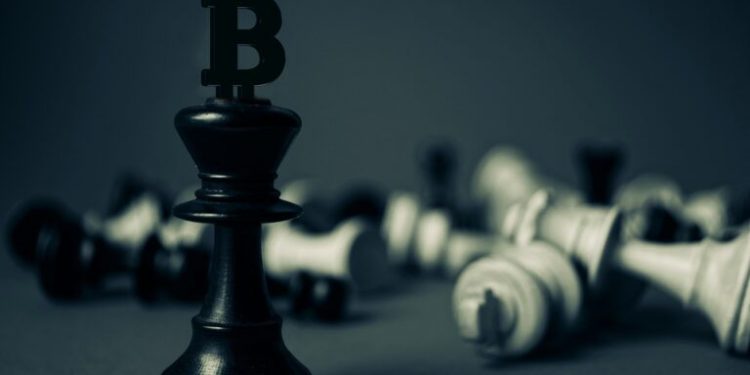 ViMoney: Nhà đầu tư tiền điện tử Anthony Pompliano: "Bitcoin vẫn là vua"