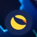ViMoney: Giá Terra điều chỉnh trong ngắn hạn - Cơ hội để bắt đáy LUNA?