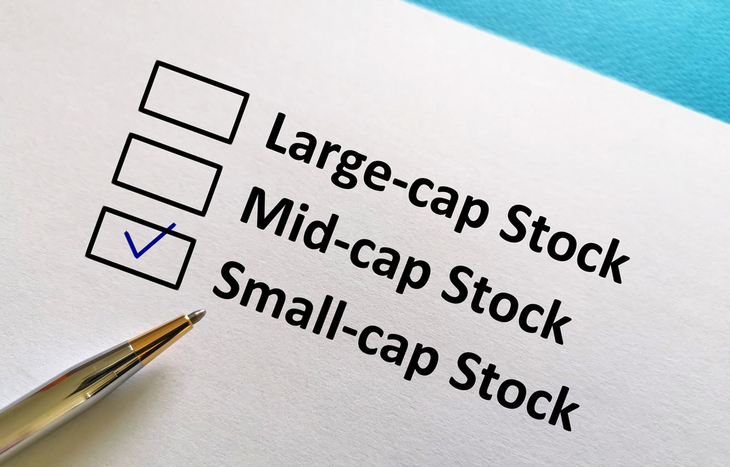 Cổ phiếu midcap là gì?