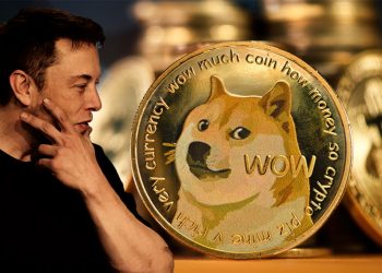 Elon Musk vừa "gật đầu" chấp nhận DOGE tại Tesla, Dogecoin liền tăng mạnh 25%