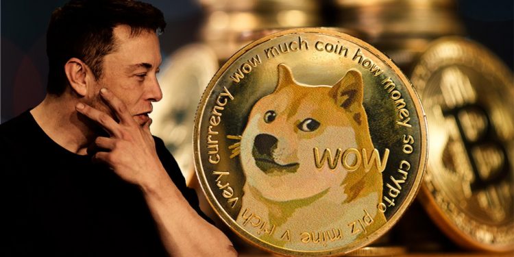 Elon Musk vừa "gật đầu" chấp nhận DOGE tại Tesla, Dogecoin liền tăng mạnh 25%