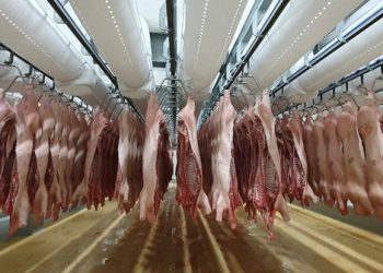 Việt Nam: Nhập khẩu thịt tăng gấp 40 lần xuất khẩu trong 10 tháng