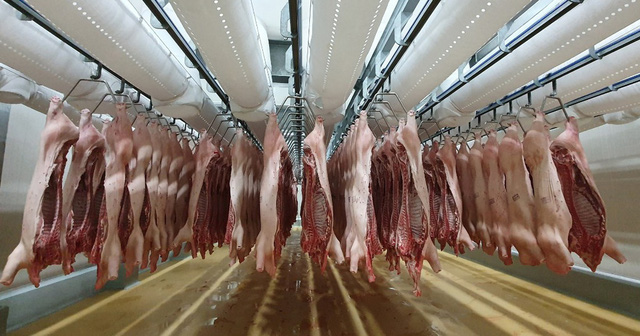 Việt Nam: Nhập khẩu thịt tăng gấp 40 lần xuất khẩu trong 10 tháng