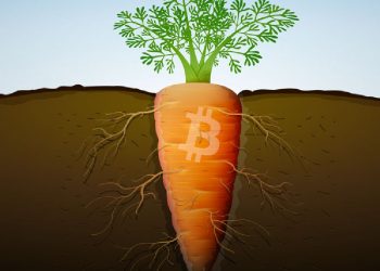 Taproot là gì? Tất tần tật về nâng cấp taproot của Bitcoin