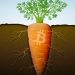 Taproot là gì? Tất tần tật về nâng cấp taproot của Bitcoin