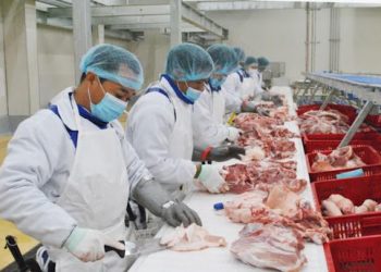 Thưởng Tết 2022: Ngành thực phẩm rủng rỉnh, hàng thiết yếu “than khó”