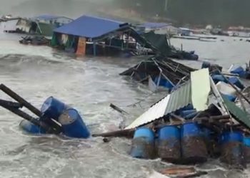 Nỗi đau tôm hùm