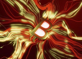 ViMoney: Justin Sun, Nayib Bukele và Michael Saylor đều đã bắt đáy Bitcoin?