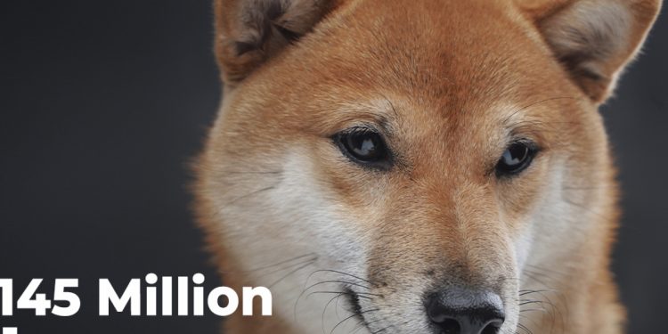 Shiba Inu lập kỷ lục với hơn 1,145 triệu người sử dụng