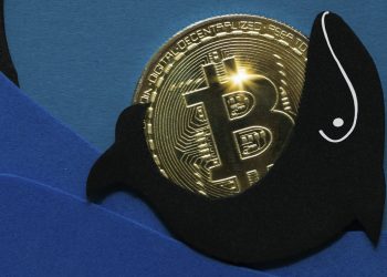 Cá voi Bitcoin ghi nhận mức tăng trưởng kỷ lục trong thời gian giá giảm