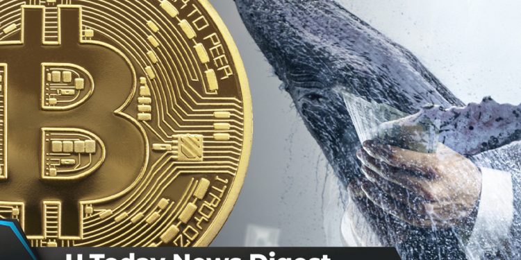 Điểm tin Crypto ngày 29/1