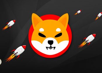 ViMoney: Dự đoán giá Shiba Inu năm 2022 - Tăng trưởng 163% trong 12 tháng?