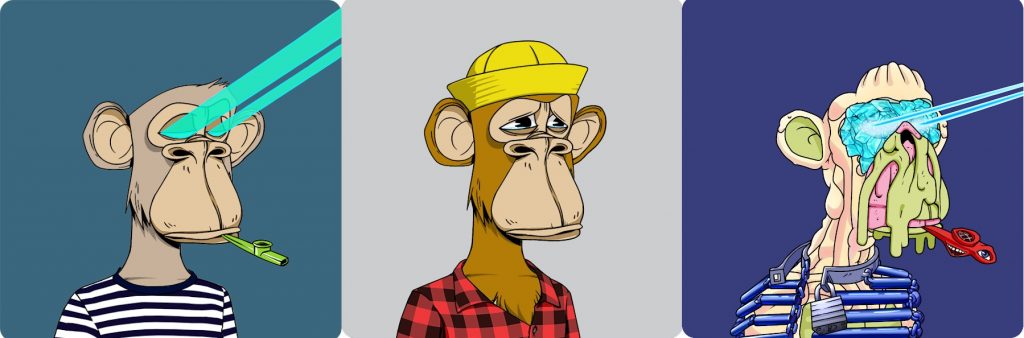 ViMoney: Danh sách những người nổi tiếng sở hữu NFT Bored Apes - Steve Aoki