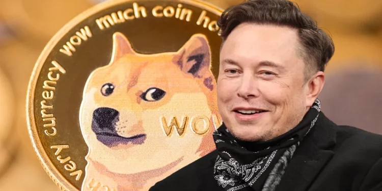 ViMoney: Tại sao Elon Musk ủng hộ Dogecoin?