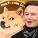 ViMoney: Tại sao Elon Musk ủng hộ Dogecoin?