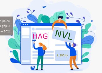 NVL chào bán 1.300 tỷ đồng trái phiếu - HAG năm 2021 lãi 120 tỷ, cổ phiếu tăng giá gấp 3 lần