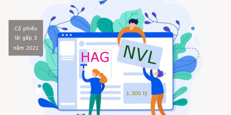 NVL chào bán 1.300 tỷ đồng trái phiếu - HAG năm 2021 lãi 120 tỷ, cổ phiếu tăng giá gấp 3 lần