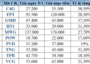 ViMoney: Top 10 cổ phiếu tiềm năng cho tháng 01 năm 2022 theo Agriseco