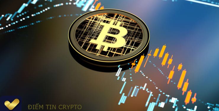 ViMoney: Điểm tin Crypto 14/1: BTC tăng vọt trên $ 44.000, SHIB niêm yết trên Giottus, Visa dự báo sự bùng nổ áp dụng tiền điện tử