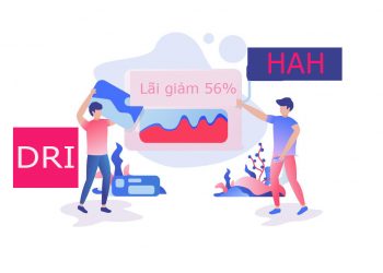 HAH: Cổ đông lớn gom thêm cổ phiếu - DRI báo lãi quý 4 giảm 56%
