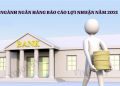 Ngành ngân hàng báo cáo lợi nhuận 2021.
