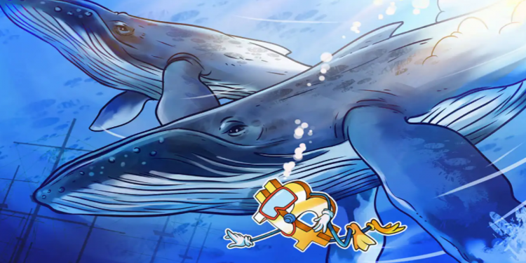 ViMoney: Điểm tin đầu giờ 24/1: Đọc gì trước giờ giao dịch - Giảm giá sâu, cá voi Bitcoin âm thầm “bỏ túi” 40.000 BTC