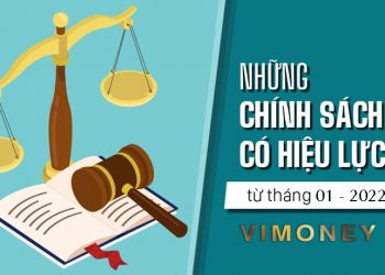 ViMoney: Chính sách mới có hiệu lực từ tháng 1 năm 2022