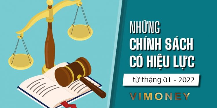 ViMoney: Chính sách mới có hiệu lực từ tháng 1 năm 2022