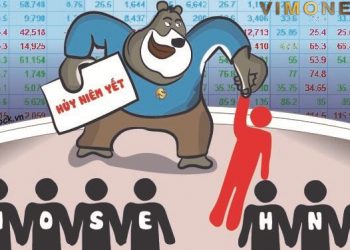 ViMoney; Những cổ phiếu ngậm ngùi rời sàn do bị hủy niêm yết bắt buộc năm 2021