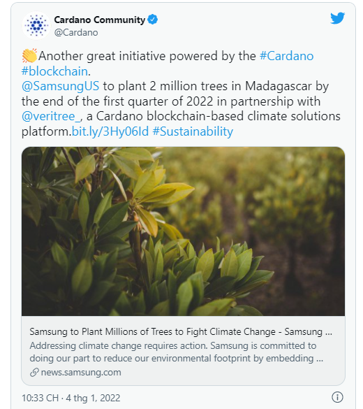 Samsung Electronics Mỹ hợp tác Cardano bằng 1 dự án trồng rừng có tên Veritree  