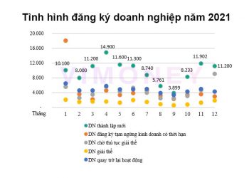 ViMoney: Tình hình đăng ký doanh nghiệp 2021: 160.000 công ty tham gia thị trường