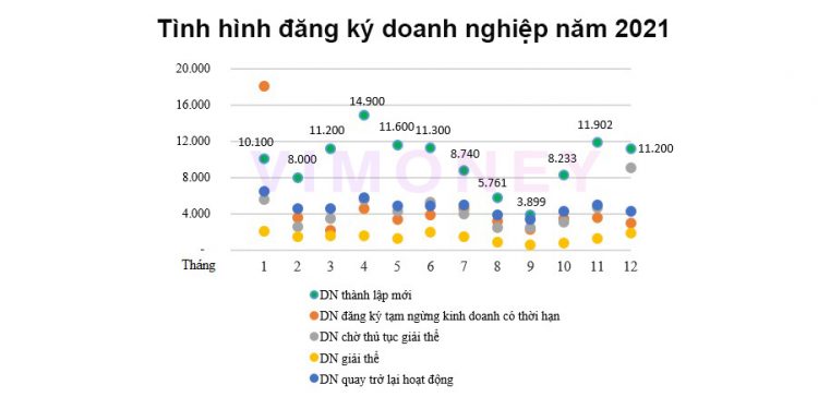 ViMoney: Tình hình đăng ký doanh nghiệp 2021: 160.000 công ty tham gia thị trường