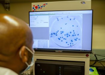 Nghiên cứu mới từ Nam Phi: Omicron có thể nhanh chóng đi đến hồi kết?