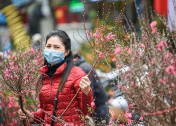 Tết 2022, Hà Nội tổ chức 78 điểm chợ hoa Xuân