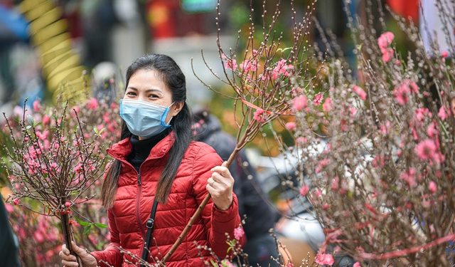 Tết 2022, Hà Nội tổ chức 78 điểm chợ hoa Xuân