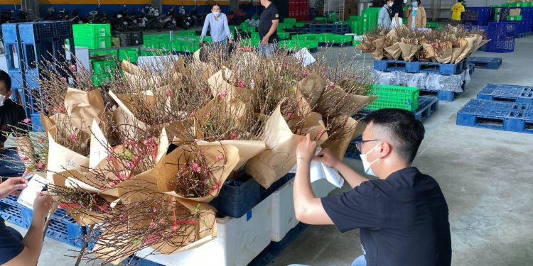 Sức mua trên sàn thương mại điện tử tăng mạnh dịp cận Tết