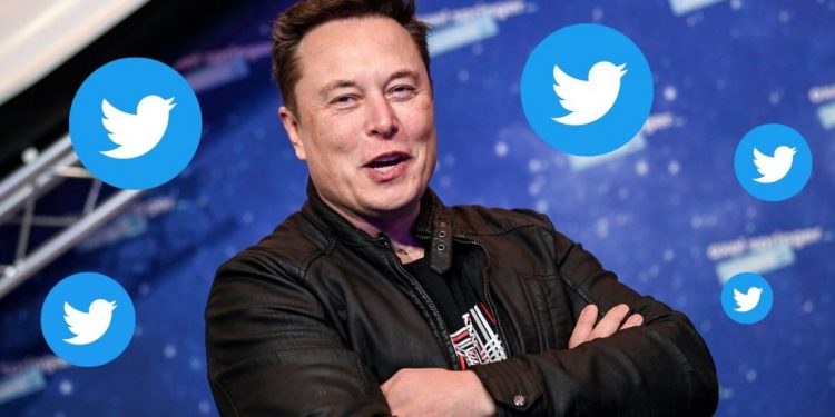 Elon Musk chỉ trích tính năng ảnh đại diện NFT của Twitter là lãng phí tài nguyên