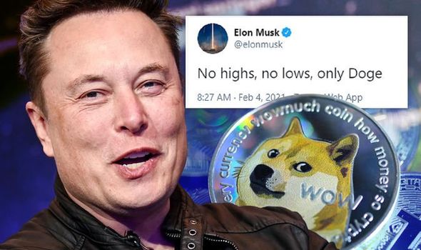 ViMoney: Tại sao Elon Musk ủng hộ Dogecoin?