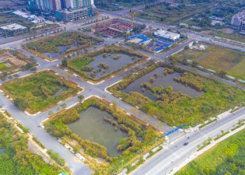 UBND TP.HCM nói chưa nhận được văn bản xin bỏ cọc của tập đoàn Tân Hoàng Minh