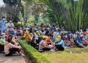 Thưởng Tết giảm, hàng 1.000 công nhân ngừng việc