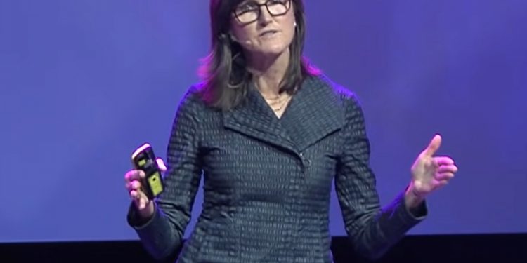 ViMoney: Ark Invest của Cathie Wood mua 2,5 triệu cổ phiếu của Robinhood khi giá lao dốc