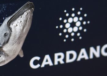 ViMoney: Số lượng địa chỉ cá voi Cardano tăng 15.000% kể từ giữa tháng 12