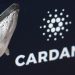ViMoney: Số lượng địa chỉ cá voi Cardano tăng 15.000% kể từ giữa tháng 12
