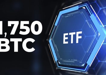 ViMoney: Purpose Bitcoin ETF "buy the dip" 1.750 BTC chỉ trong 2 ngày khi giá giảm