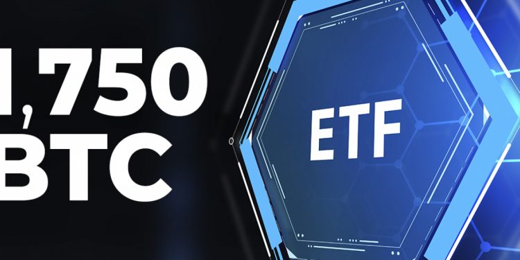 ViMoney: Purpose Bitcoin ETF "buy the dip" 1.750 BTC chỉ trong 2 ngày khi giá giảm