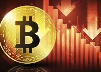 ViMoney; Peter Schiff chia sẻ mô hình Double Top, dự đoán sự sụp đổ nhanh chóng của Bitcoin